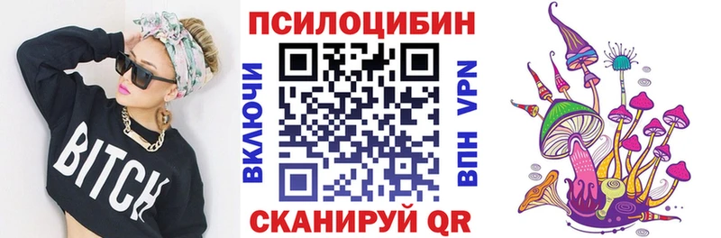 Псилоцибиновые грибы Cubensis  Купить где  Алексеевка 